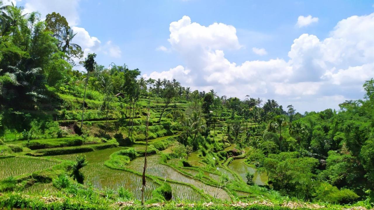 Bunga Maliq Bungalow Lombok Tetebatu Exterior photo